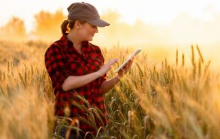 Application mobile pour gestion terrain
